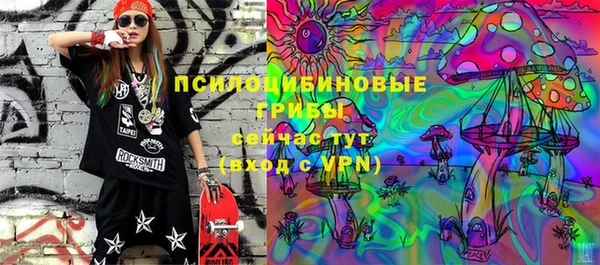 Альфа ПВП Аркадак