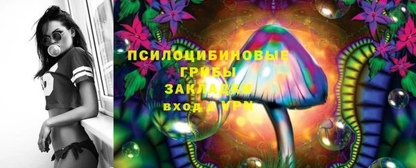 Альфа ПВП Аркадак