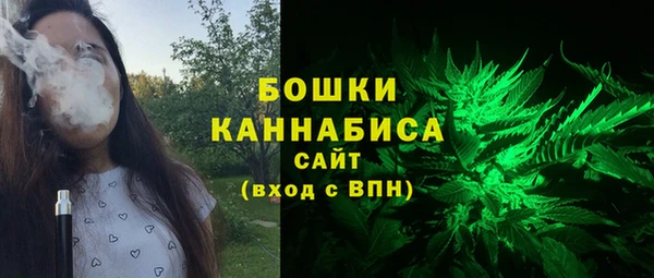 Альфа ПВП Аркадак