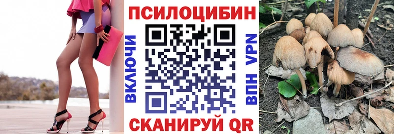 купить сайты Аша Псилоцибиновые грибы ЛСД
