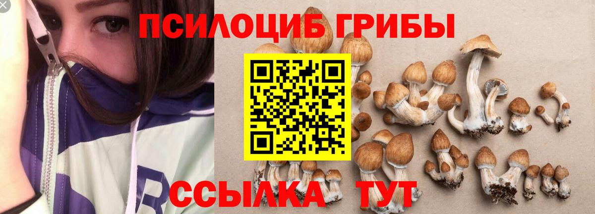 Аша  Псилоцибиновые грибы GOLDEN TEACHER  Вход с VPN 