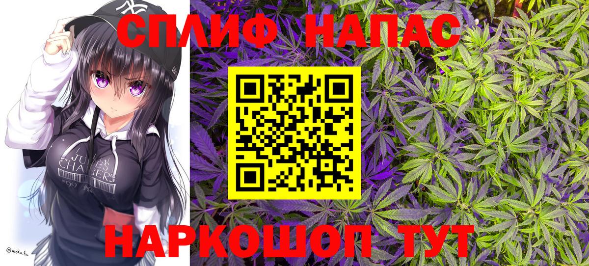 Шишки марихуана Bruce Banner Аша